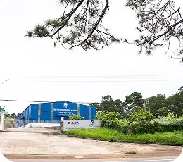 Hạt điều