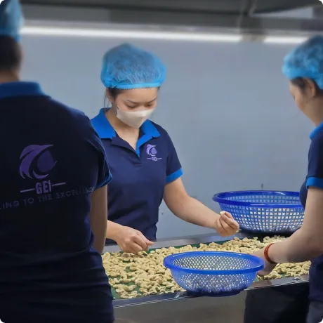Nhà máy chế biến và đóng gói hạt điều