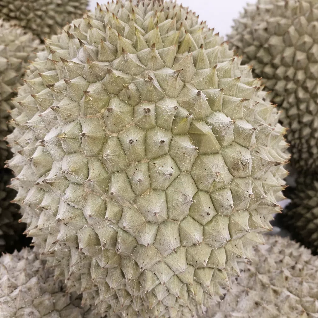 Sầu riêng cấp đông nguyên trái